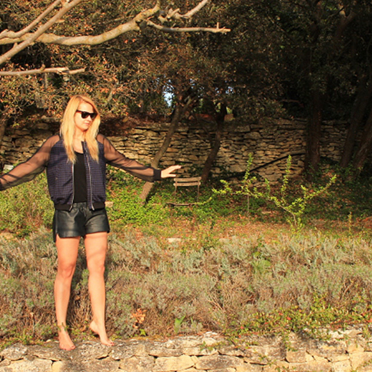Wandering Through Sunny Gardens