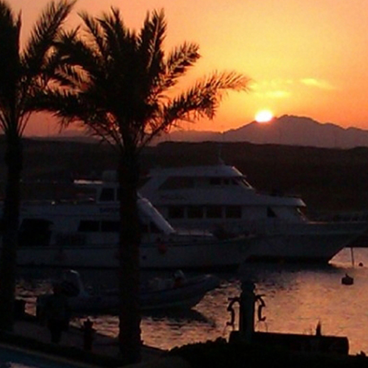 Egyptian Waters