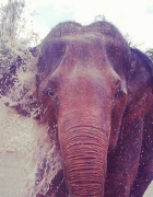 To The Beach Pt. 1 // Ao Nang