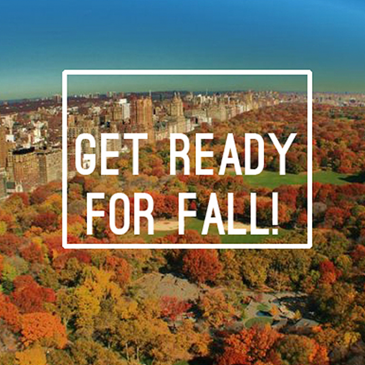 Transition into fall