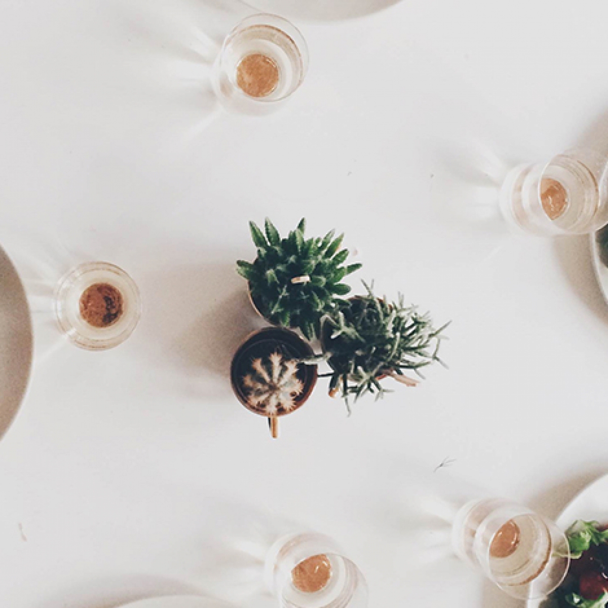 Alpronista Dinner Party