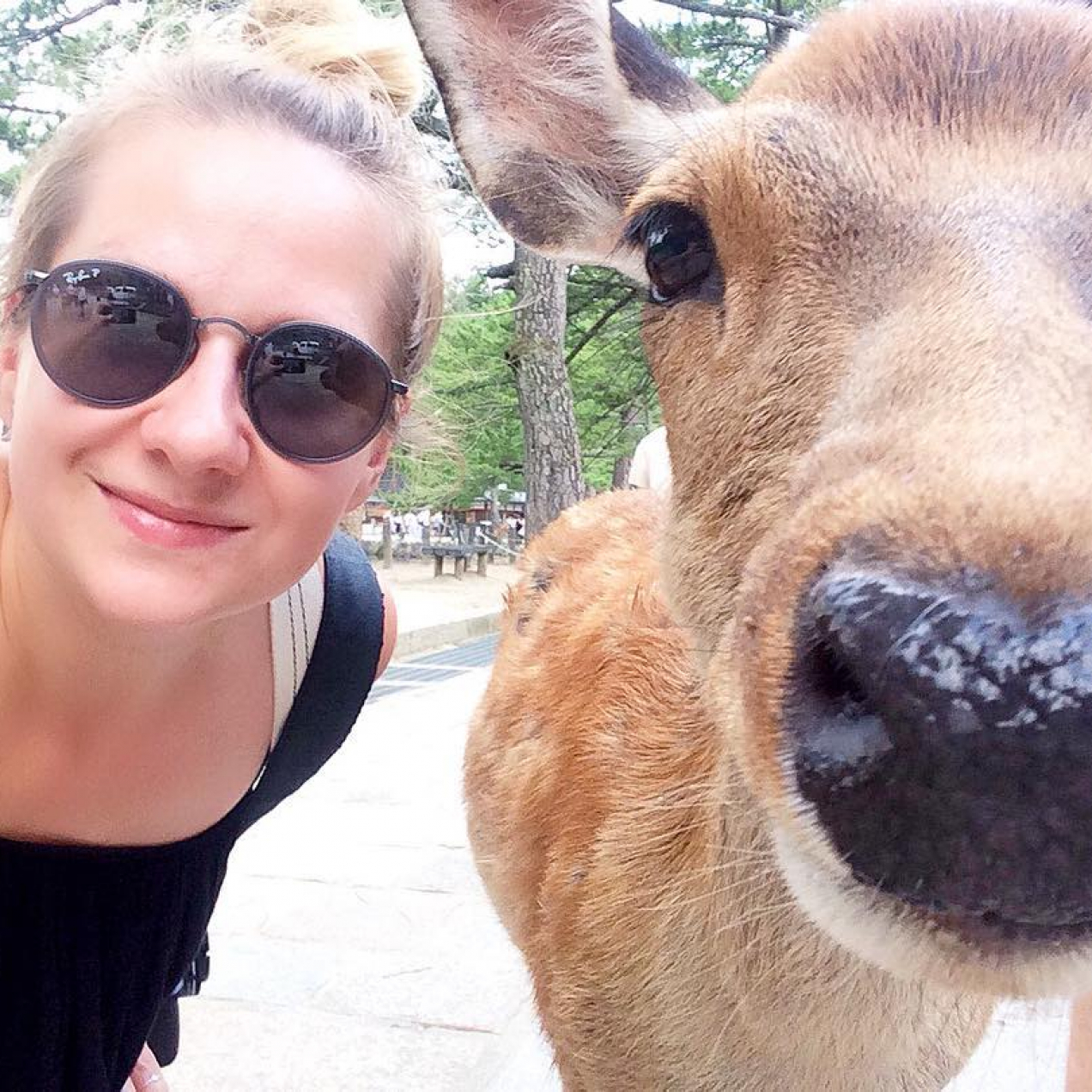 Planning a trip to Japan