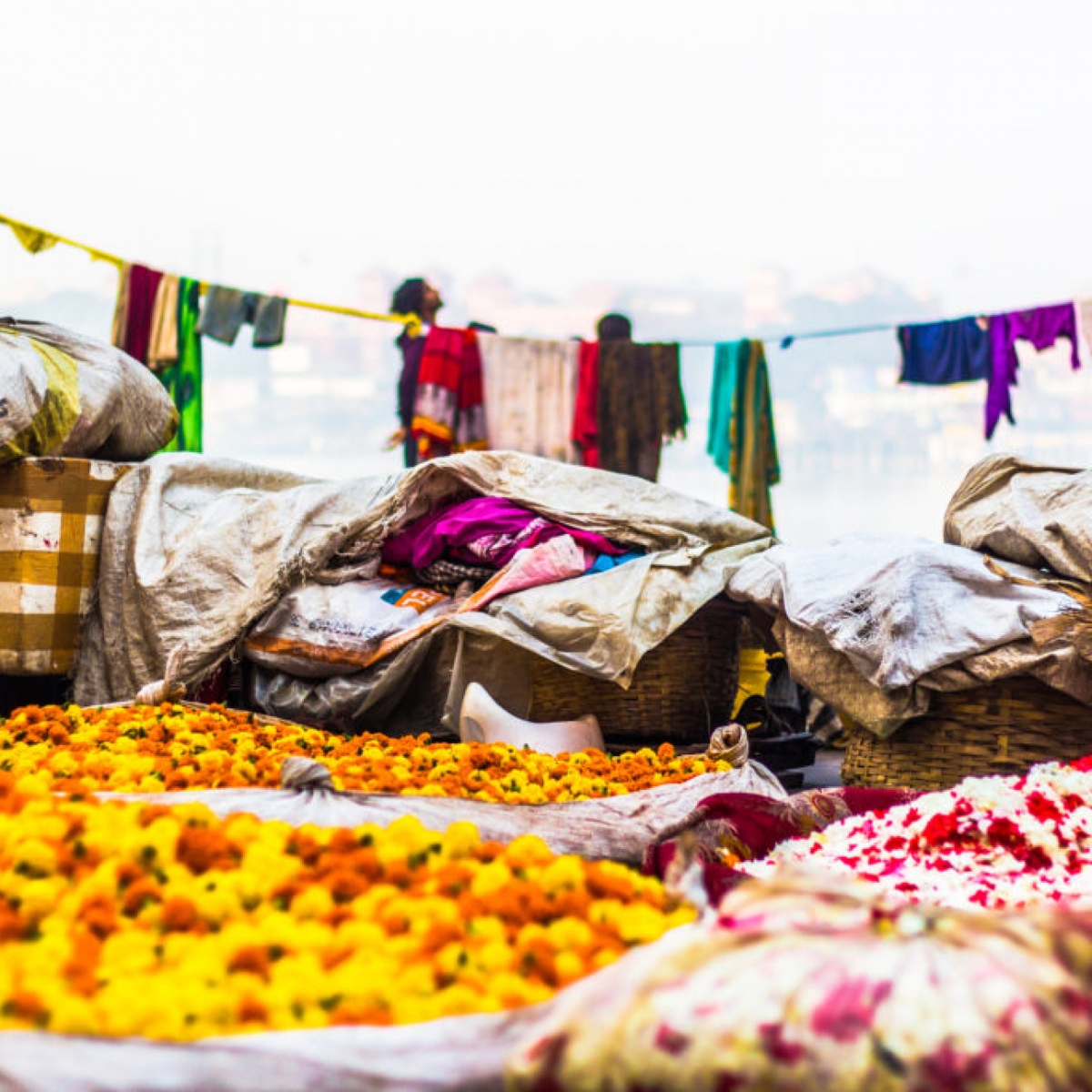 Calcutta Flower Market