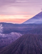 Snorkeling with Seals at Montague Island, NSW, Australia: The most affordable wildlife experience in Australia!