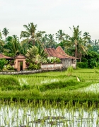 How to shop Affordable Sustainable Clothing (+ My Favorite ASOS Eco Edit)