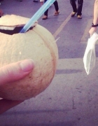 Up North // Ayutthaya and Chiang Mai