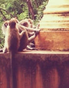 To The Beach Pt. 2 // Koh Phi Phi