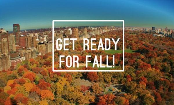 Transition into fall