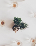 Hipster City Cologne: What to do, Where to Stay and Eat in the Belgian Quarter