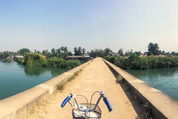 Eat, swim, chill, repeat.