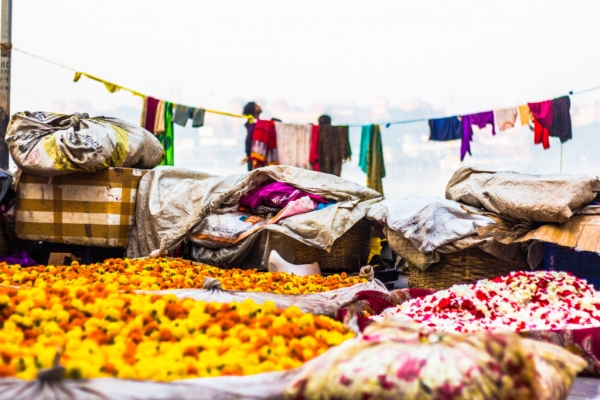 Calcutta Flower Market