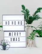 Little Blue Riding Hood