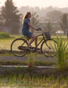 Planning a trip to Japan