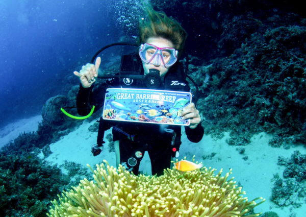 Explore the Great Barrier Reef from Port Douglas with Divers Den