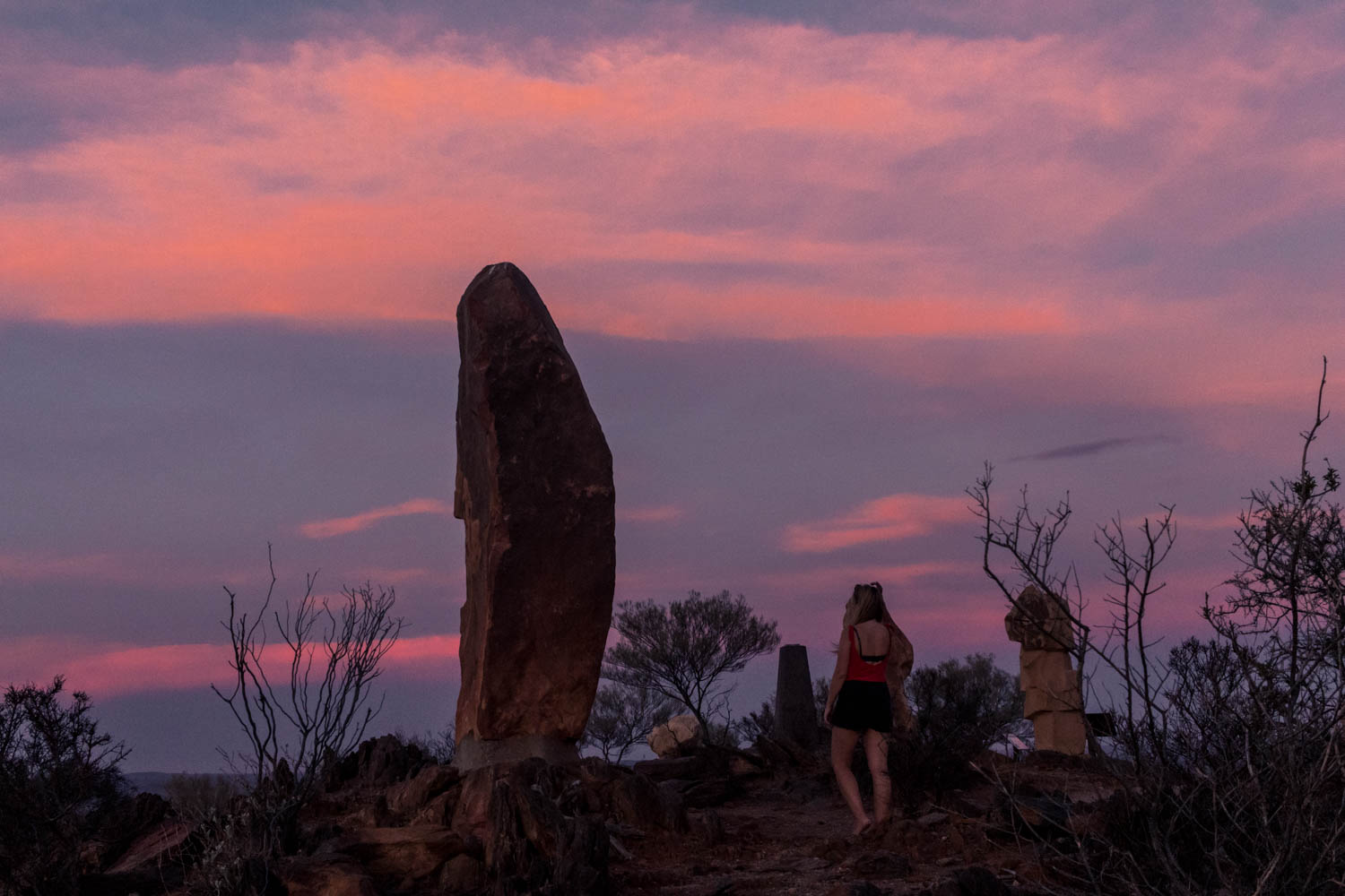 Sydney to Broken Hill Roadtrip Outback NSW: living sculptures