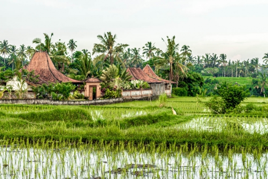 The Ultimate Bali Itinerary: 10 Days For All The Must-Visits